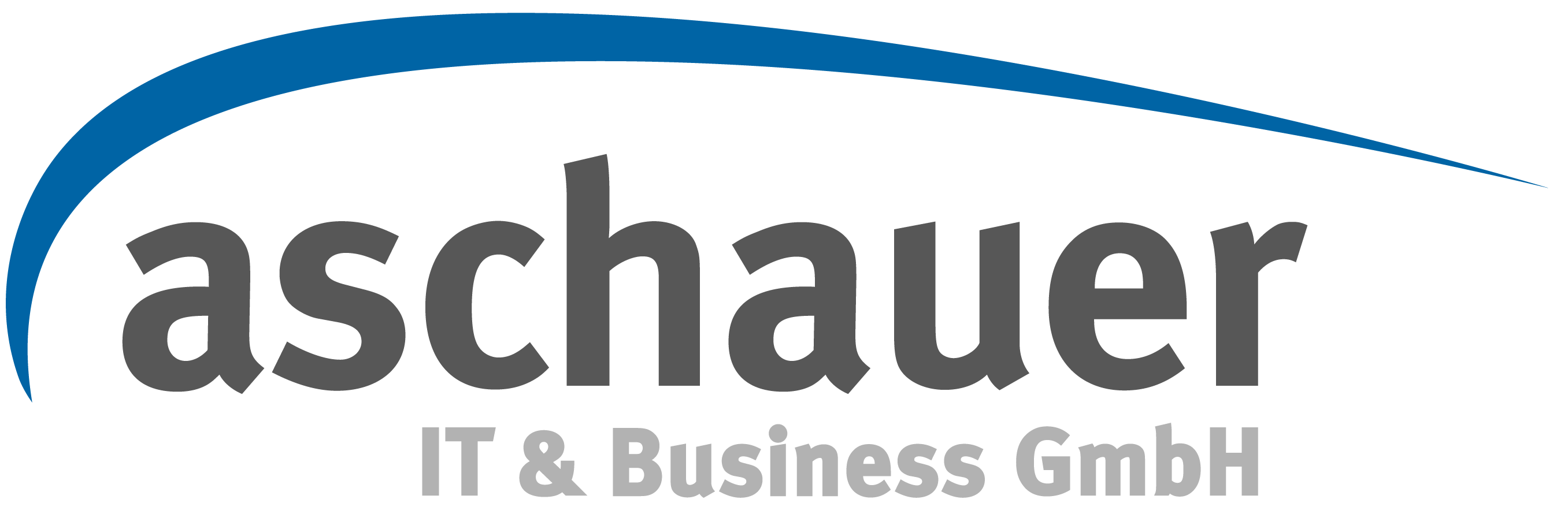 Aschauer_IT & Business